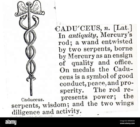 hermes staff meaning|caduceus with one snake.